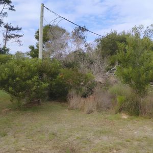 Venta Terreno En Oceanía Del Polonio, Rocha 600 M², 100 M Calle Principal