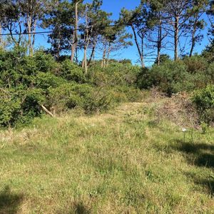 Venta Terreno En Punta Del Diablo