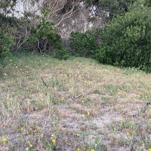 Venta De Terreno En Rocha