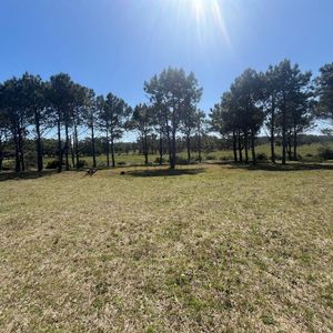 Venta De Terrenos En San Sebastián De Garzón