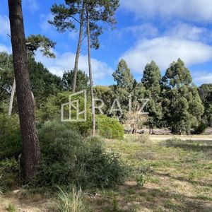 Espectacular Terreno En Barrio Privado