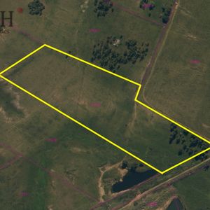 Vendo Chacra Ruta 9, Cerca De Pan De Azúcar, Maldonado. A 45´ De Punta Del Este. Financia.