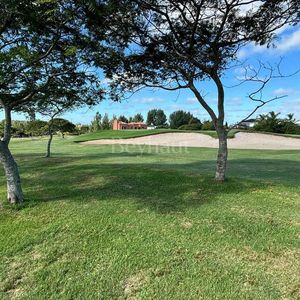 Lote único