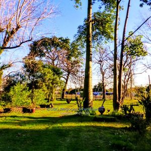 Terreno Con 3 Propiedades