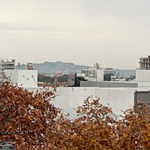 Apartamento 2 Dormitorios C/balcon, La Blanqueada Con Renta
