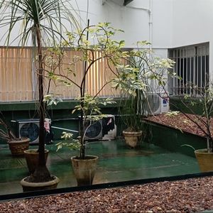 Amplio Apartamento Piso Alto En El Centro De Ciudad Vieja