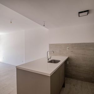 Alquiler Apto Punta Carretas A Estrenar 1 Dorm C/ Terraza