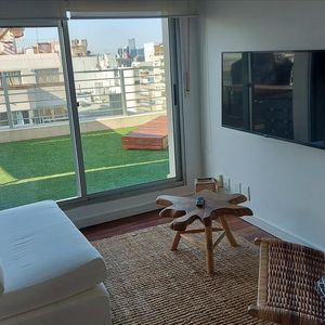 Alquiler Apartamento Tipo Penthouse De 1 Dormitorio En Punta Carretas
