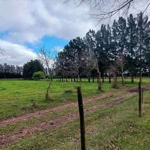 Chacra  En Venta De 15 Hectareas, Sauce Canelones