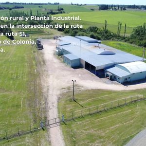 Venta O Alquiler Logística O Planta Industrial En Nueva Helvecia