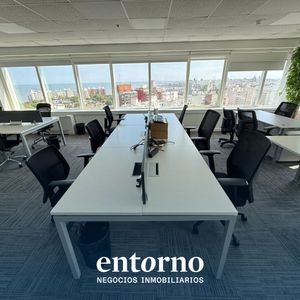 Oficina En Alquiler En World Trade Center T1 - Semipiso