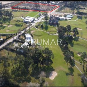 Manzana Entera En Golf