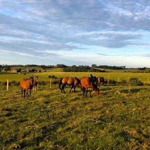 Campo En Villa Serrana