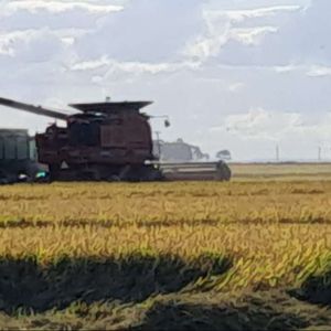 Campo En Venta En  Departamento De Treinta Y Tres.
