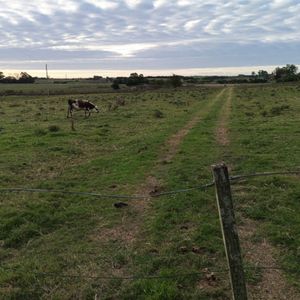 Campo En Venta De 14.5 Ha En San José De Mayo