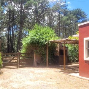 Casa En Venta C/ Cochera En El Pinar