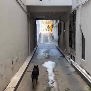 Local Comercial En Venta Ubicado En Cordón