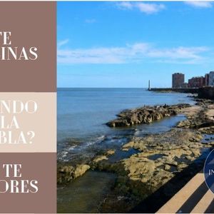 Apartamento En Alquiler En Barrio Sur