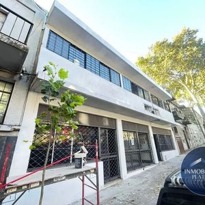 Local Comercial En Alquiler Ubicado En Centro