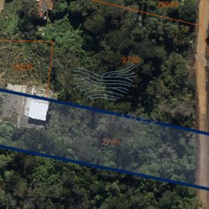 Terreno En Venta - Punta Ballena