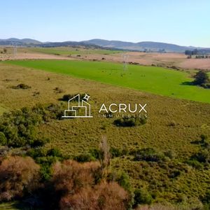¡oportunidad A 4 Km De Ruta 39 En Las Cañas! 2 Chacras De 7 Hectáreas Con Monte De Eucalipto