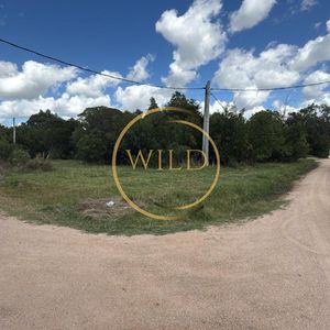 Oportunidad Terreno En Santa Mónica José Ignacio