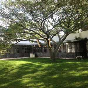 Venta Y Alquiler Temporario De Casa En Laguna Garzón