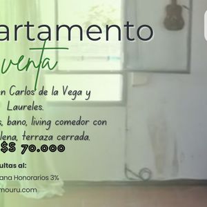 Venta De Apartamento En Belvedere