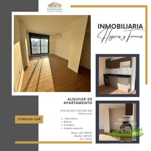 Alquiler De Apartamento En Cordon Sur