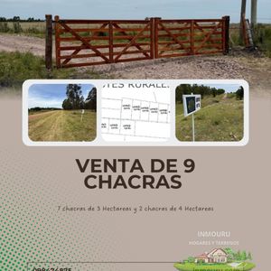Venta De 9 Chacras