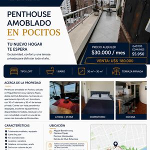 Alquiler Penthouse En Pocitos