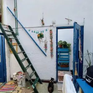 Se Vende Apartamento Con Renta, 2 Dormitorios, Goes.