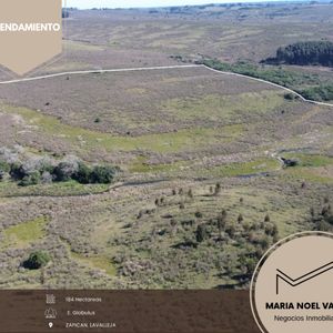 Campo En Arrendamiento Zapican 184 Has