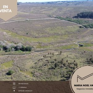 Campo En Venta De 184m2 Ubicado En Zapican