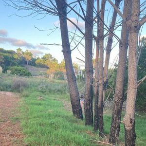 Venta 4 Terrenos La Esmeralda