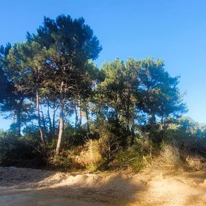 Venta Terreno Esquina En La Serena, La Paloma, Rocha