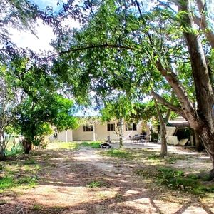 Venta/penino/2 Dormitorios/terreno 512m2/ Edificación 100m2/apta Banco/arbolado.