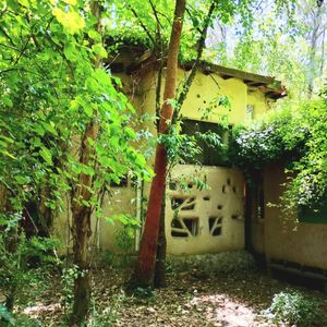 Venta/colonia Santa Ana/oportunidad única Bioconstrucción/2 De La  Playa.
