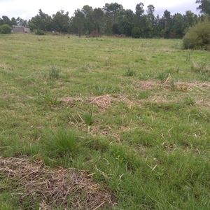 Inversion Venta Campo 3 Hectáreas Con Galpón-próX Interbalnearia-rincon De Pando