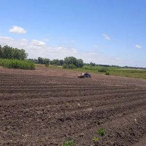 Inversion Chacra 6.8 Ha -con Invernaderos-produccion Cultivo-canelones