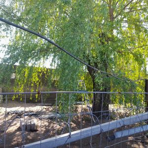 Venta/delta Del Tigre/casa/2 Dormí/2 Garajes/ Alquilada/terreno 550m2/banco