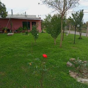 Venta/san Jose De Mayo/2 Casas/terreno 570m2/ Refaccionada/3 Dormitorios/banco