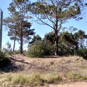 Espectacular Terreno En Punta Del Diablo, La Viuda 1200 M2