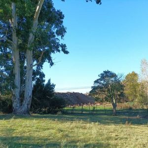 Chacra Punta De Rieles