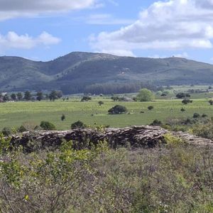 Chacras O Campos En Pan De Azucar