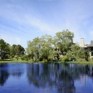 Apartamento En Venta De 1 Dormitorio - Haras Del Lago