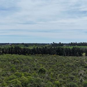 Terreno En Venta De 27000m2 Ubicado En Las Piedras