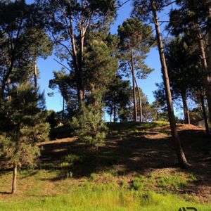 Terreno En Venta De 1470m2 Ubicado En Portezuelo