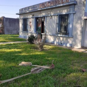 Edificios En Malvín Norte
