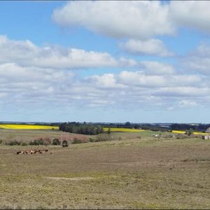 Excelente Campo Ganadero/agrícola En Venta De 103 Ha Ubicado En Solís De Mataojo